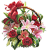 Flowers: FW043